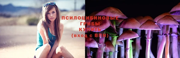 индика Алзамай