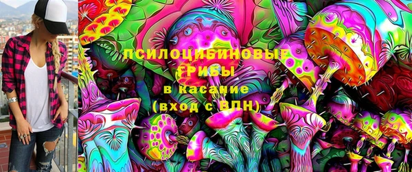 винт Алексин
