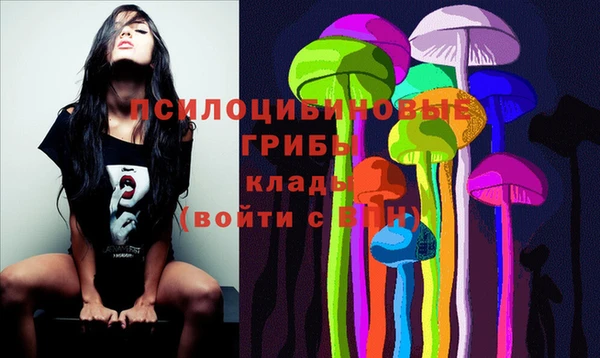 индика Алзамай