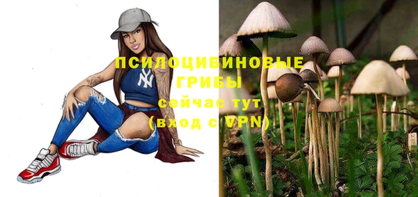 PSILOCYBIN Алексеевка