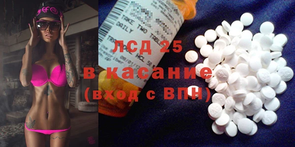 PSILOCYBIN Алексеевка