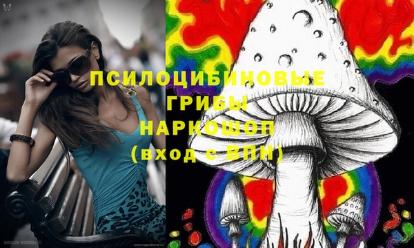 индика Алзамай