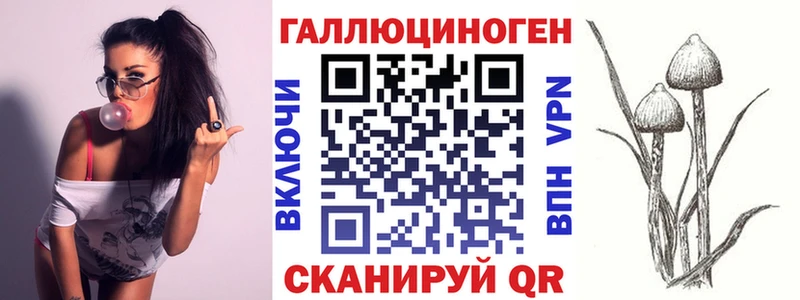 закладки  Жуков  Псилоцибиновые грибы Psilocybine cubensis 